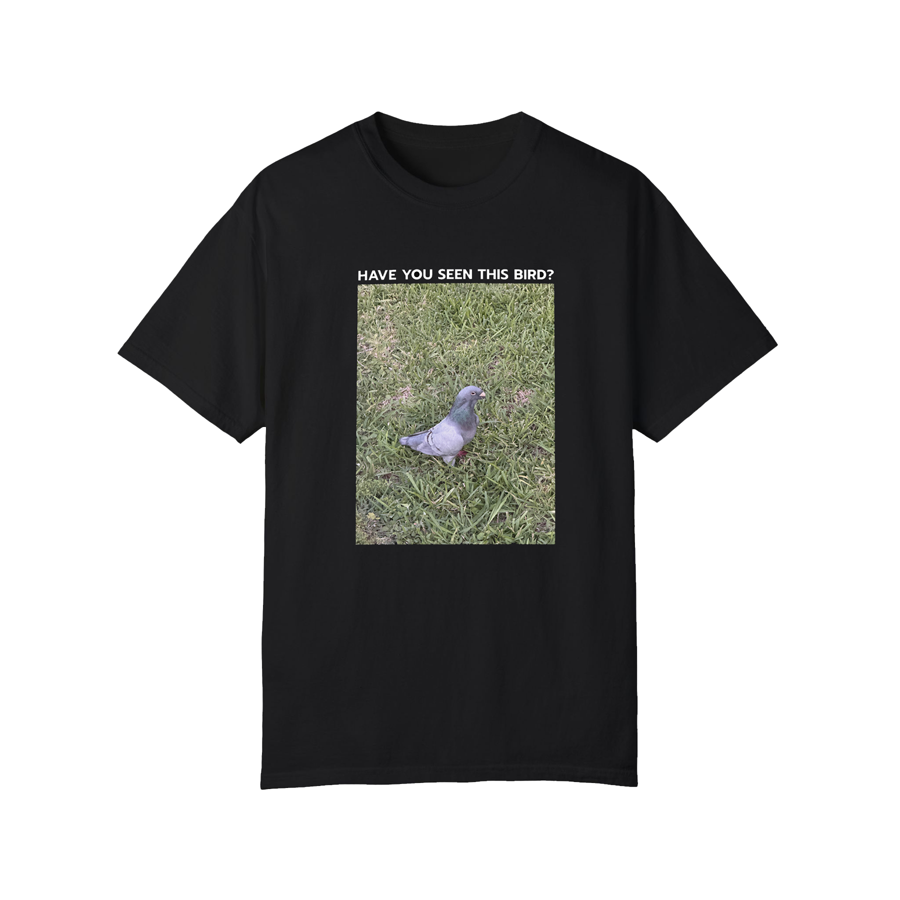 Regulation Podcast Pigeon Tee