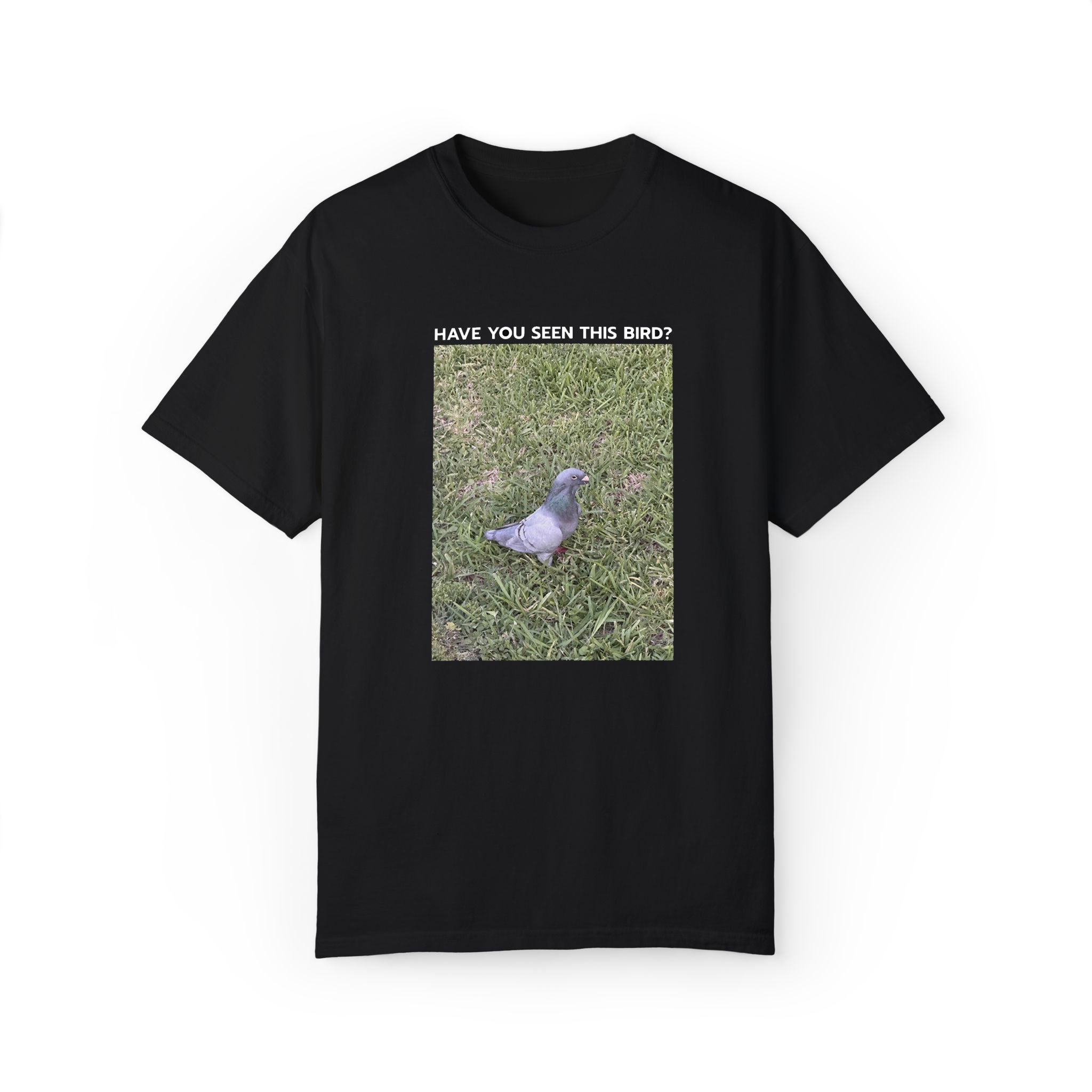 Regulation Podcast Pigeon Tee